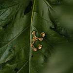 Load image into Gallery viewer, Júlia hoops
