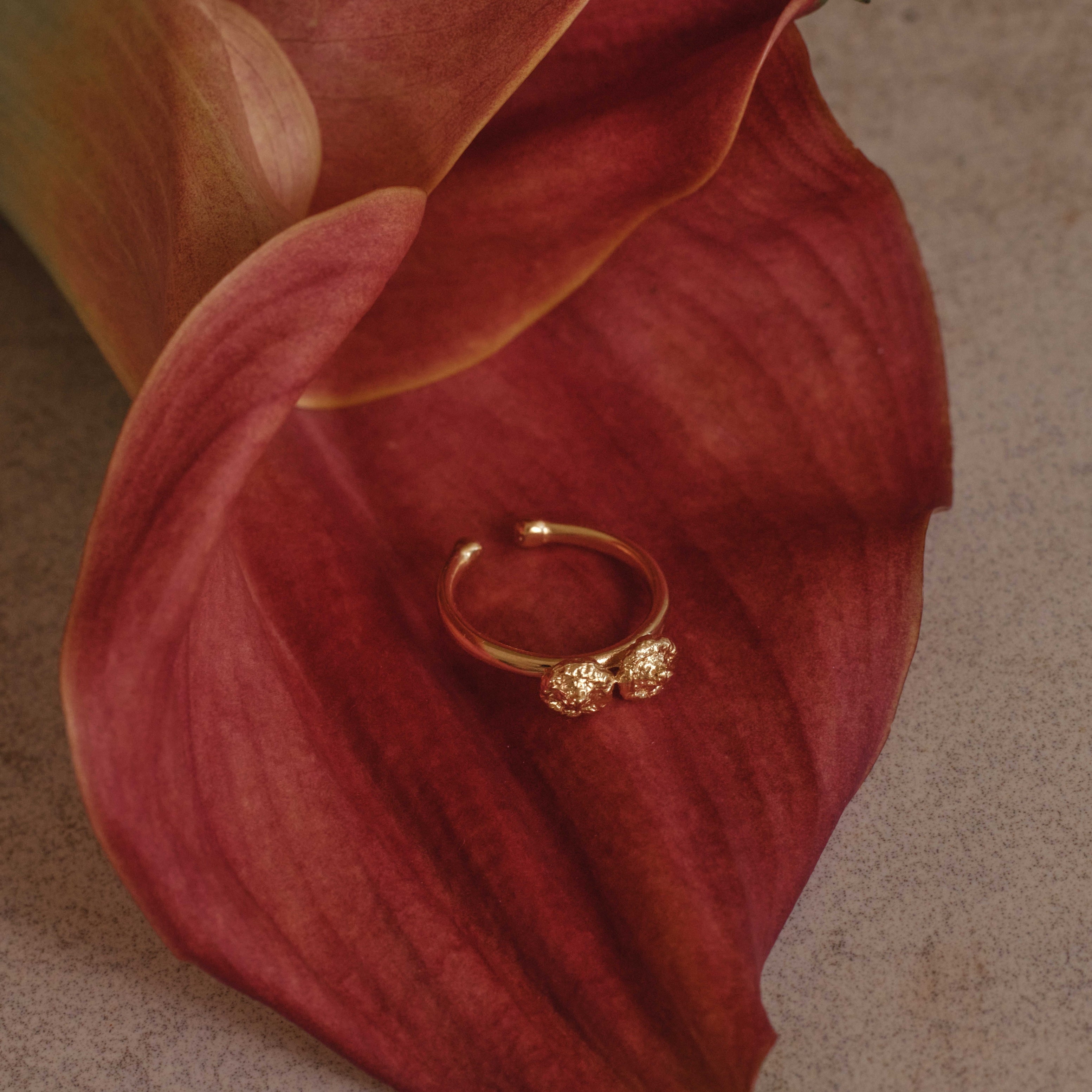 Amélia anel dedo mindinho